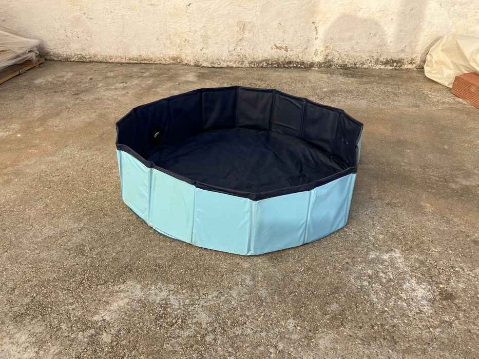 Piscina para cão64283915038849121