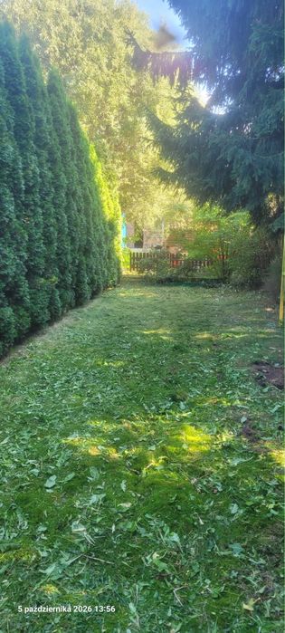 3pokojowe mieszkanie na parterze w kamienicy z ogrodem