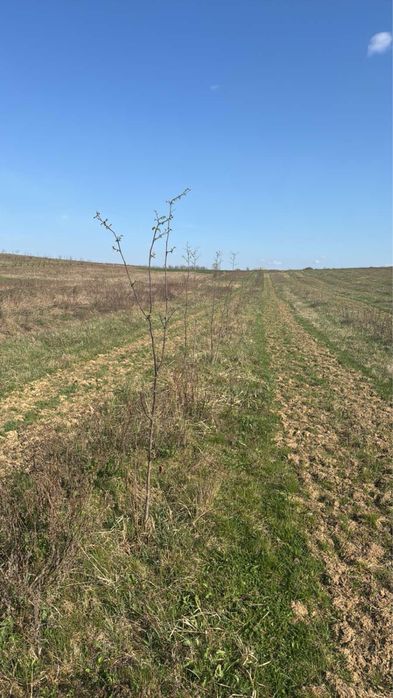 Бізнес Поле продаж