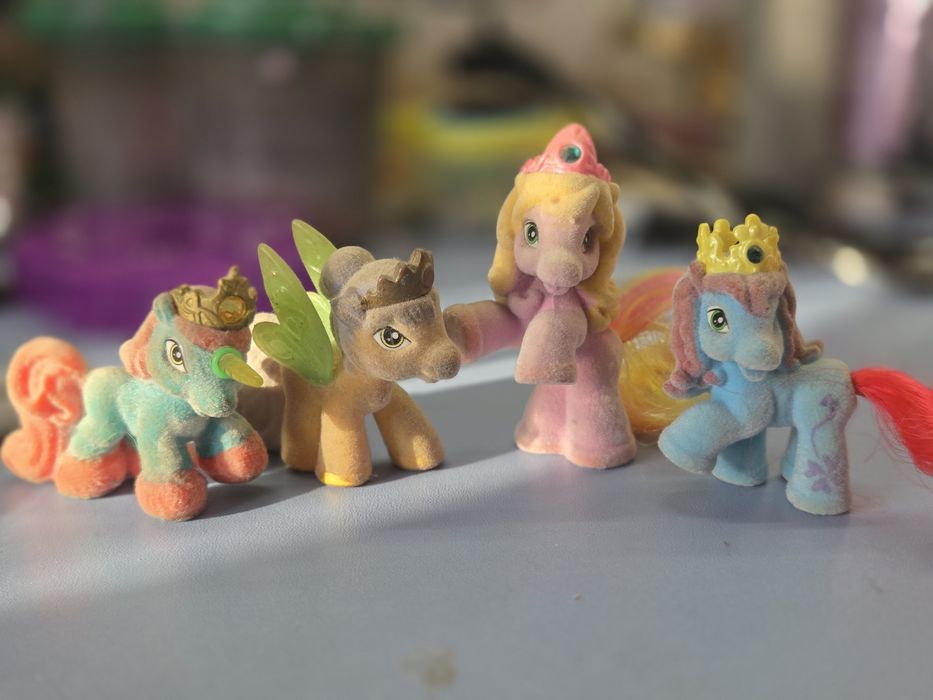 Поні, філі, filly