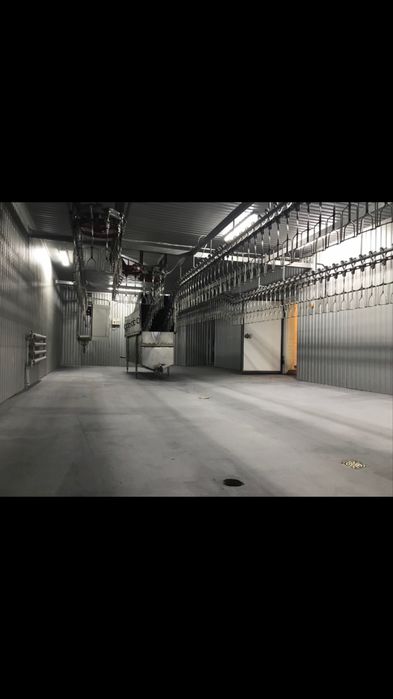 Птахоферма, цех забою птиці, ТОВ, ПДВ, ТМ