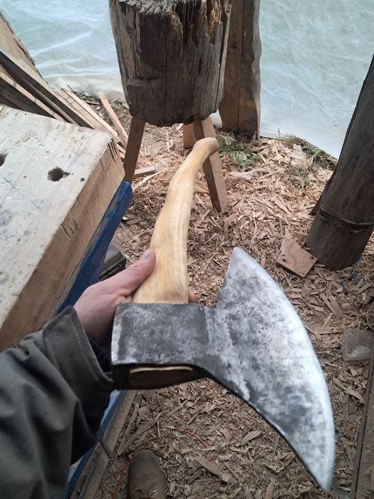 Toporek ciesielski prawy