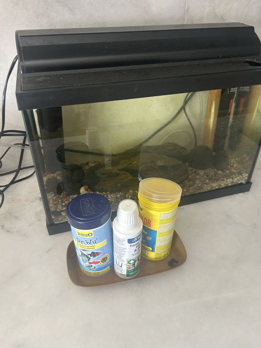 Aquario com todos os  acessorios para peixes tropicais
