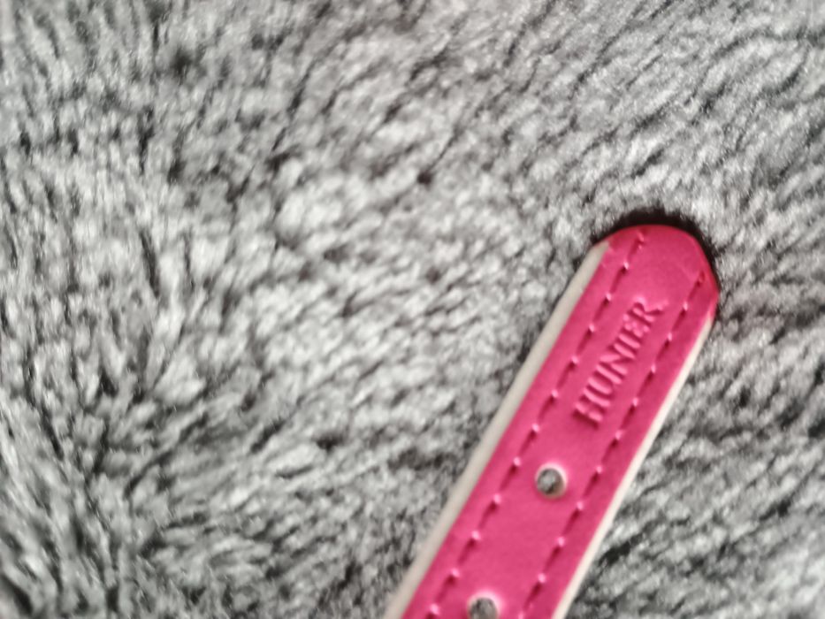 Obroża dla psa Hunter