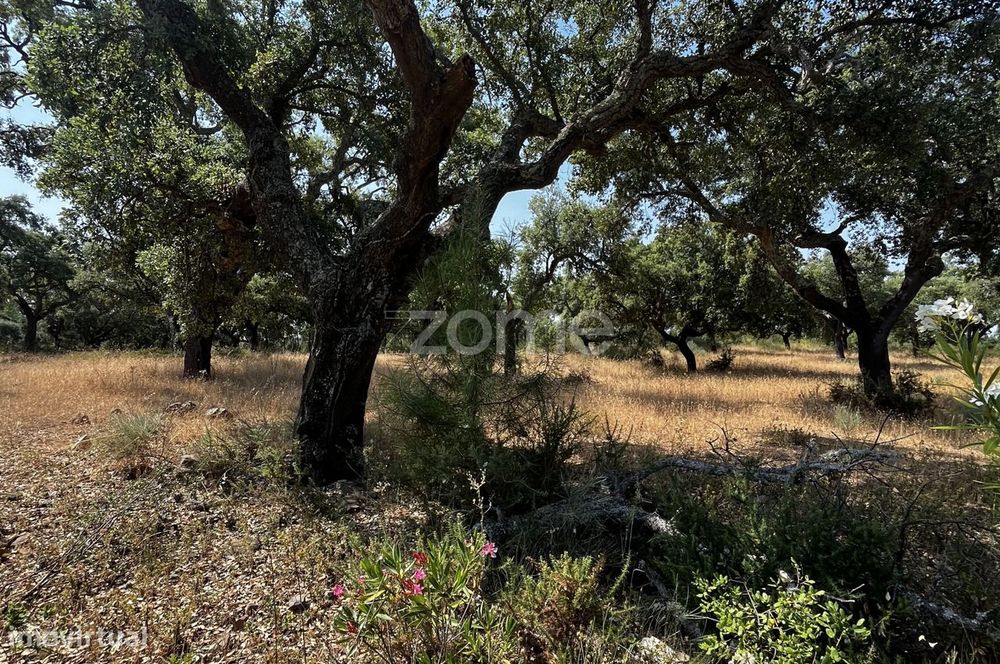 Terreno de 23 hectares – SOBRAL DO CAMPO - Potencial Construção