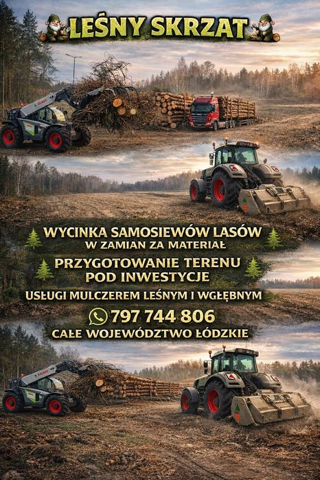 Wycinka lasów samosiewów czyszczenie dzialek mulczer mulczowanie