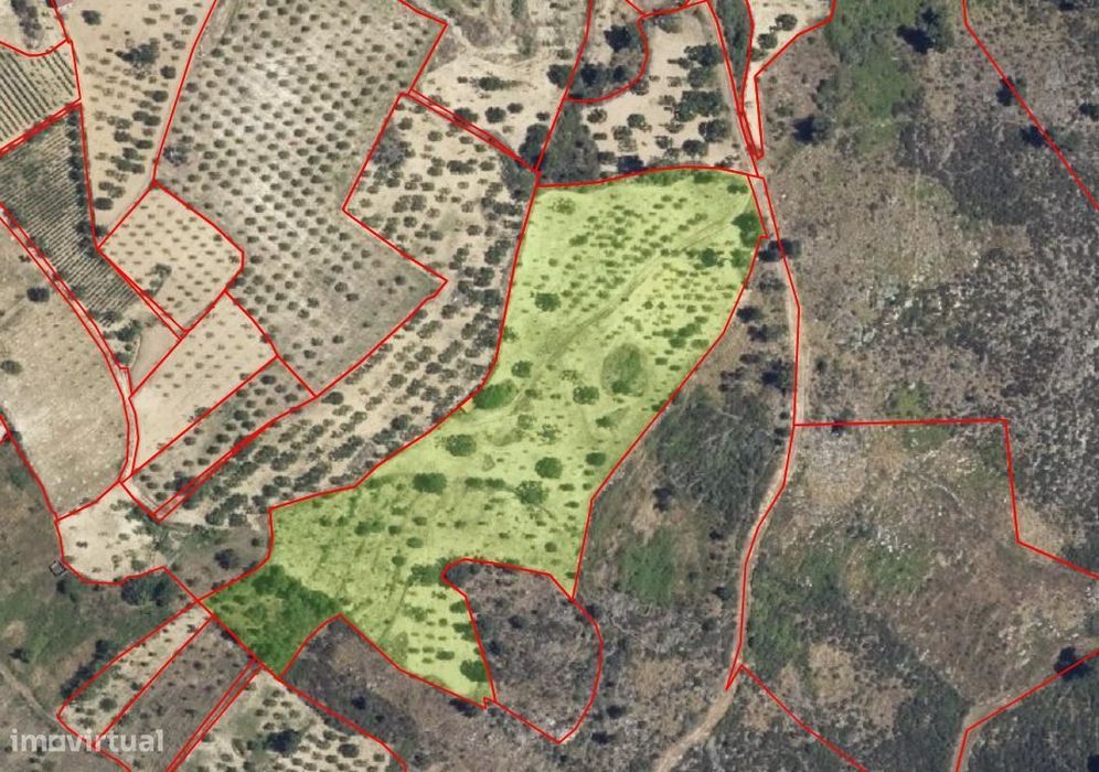 Terreno rústico "Fojo" em Póvoa de Penela