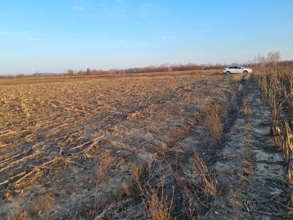 Оренда землі, 2,15га, с.Вища Дубечня,  під ягоди, овочі, теплиці, сад