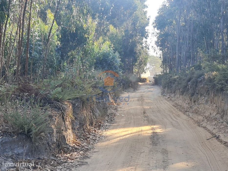 Terreno Agrícola 5.900 m2 | Brejoeira, A dos Cunhados, Torres Vedras