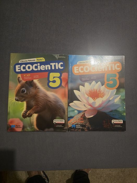 Vários livros 5° Ano