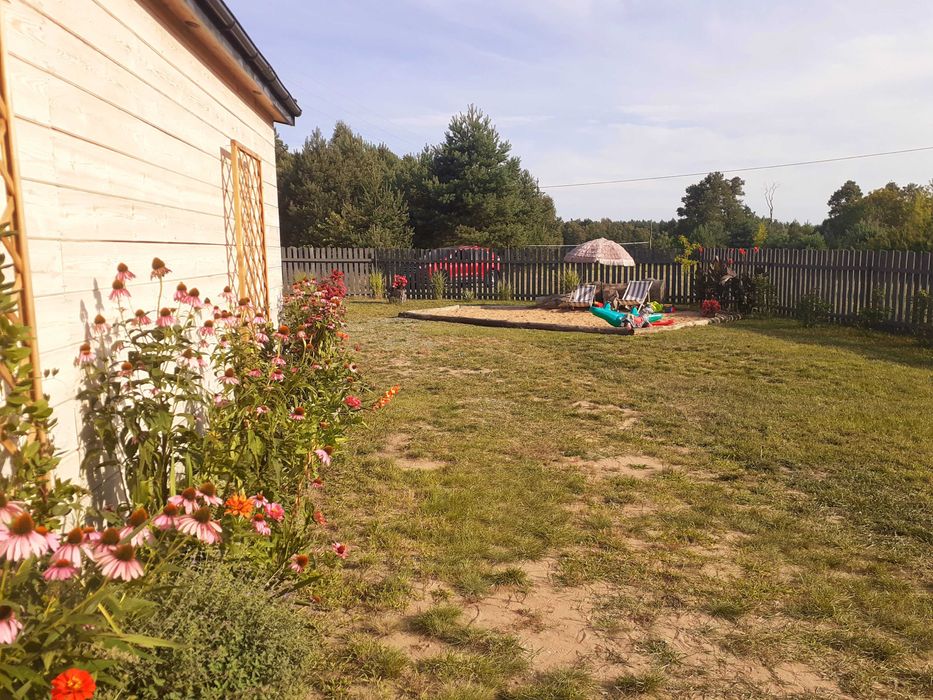 Dom letniskowy w lesie  nad Wkrą, 60km od W-wy.