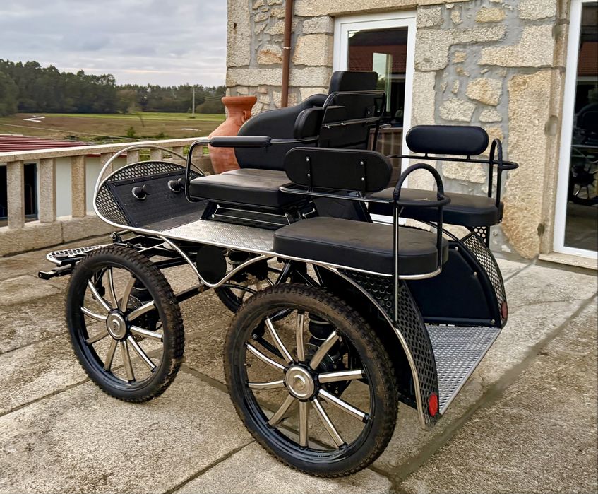 Charrete / Maratona Cavalos