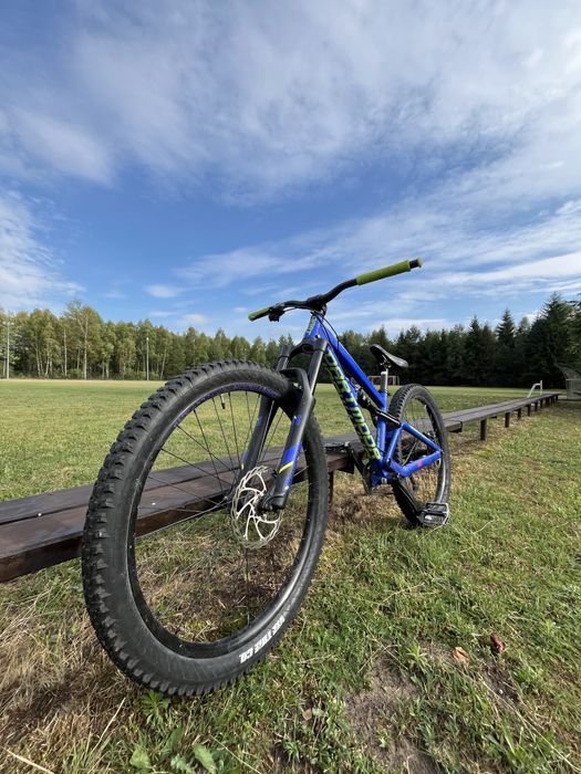 Dartmoor blackbird jr !OKAZJA!