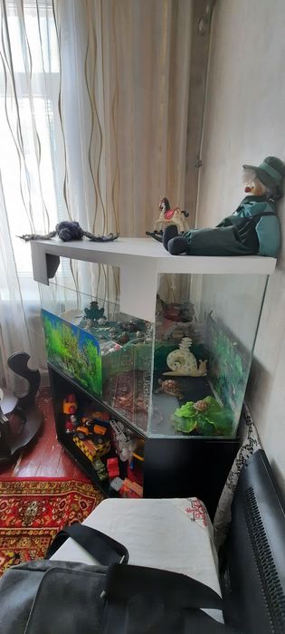 Аквариум-террариум