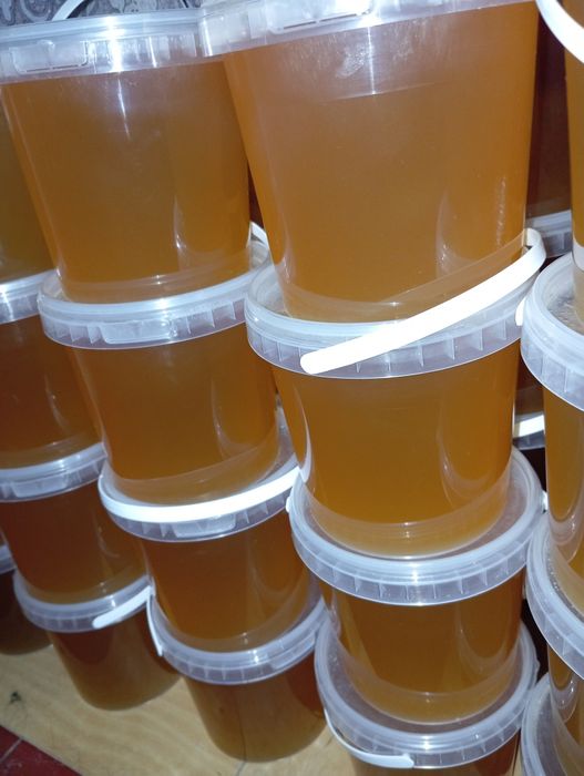 Мед лісовий та акації