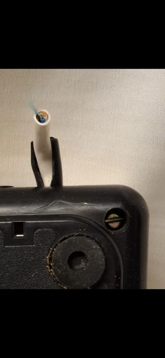 RWT Tulipan telefon prl