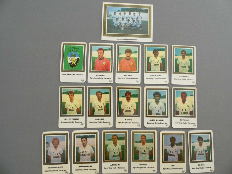 Calendários Coleção Cromogal, Os notáveis da 1ª Divisão 1987/88