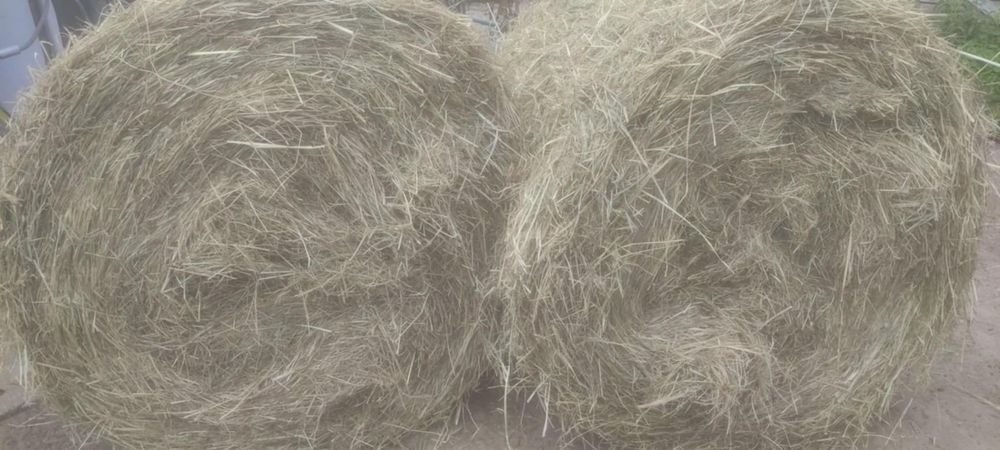 Sprzedam siano z 2025  r.