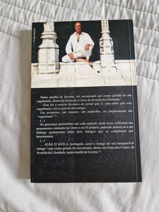 A Gruta dos Cisnes de João D'Ávila Editora Hugin