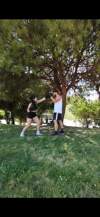 Customized Boxing Training475777048039936000