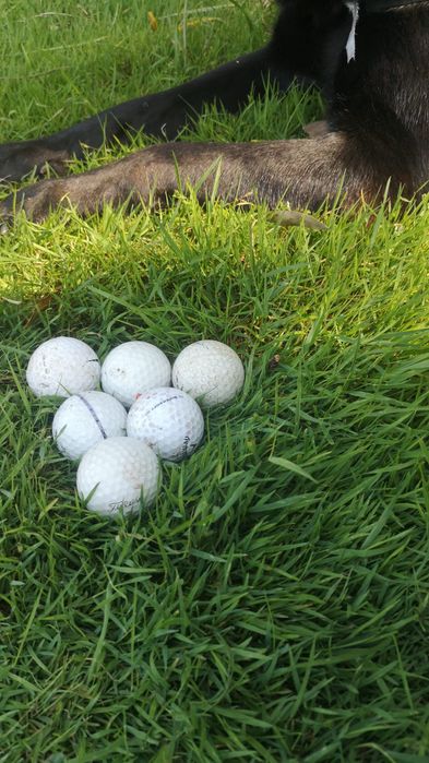 Bolas de  Golfe, usadas mas em bom estado