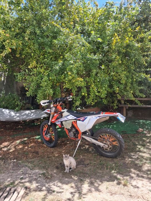 KTM Exc-F 250 Six Days Chile Edition