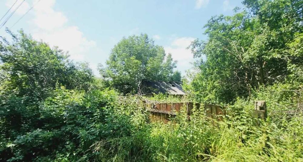 (8) Продається земельна ділянка в с. Дашківці 3573