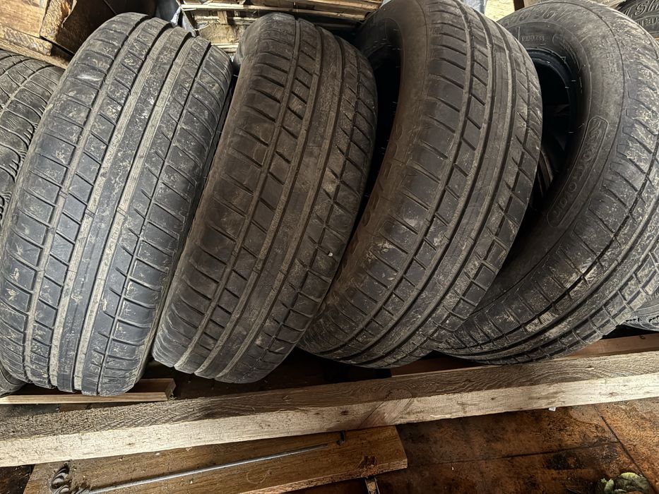 Kormoran Performance 2024р.