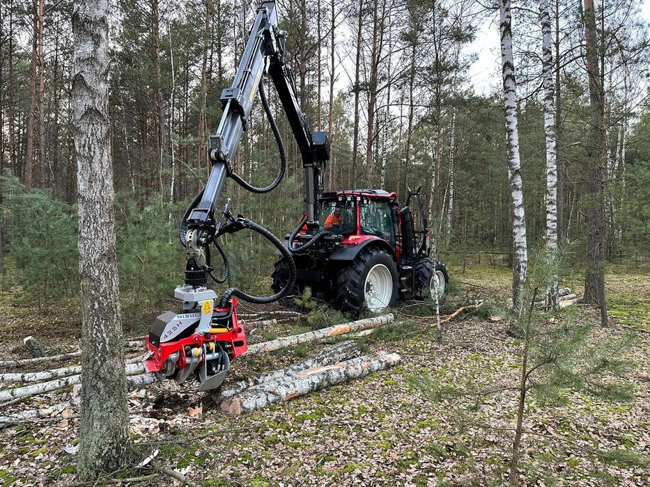 Wycinka drzew i czyszczenie działek – profesjonalne usługi , rębak