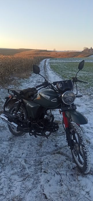 Мустанг дінго 125xl
