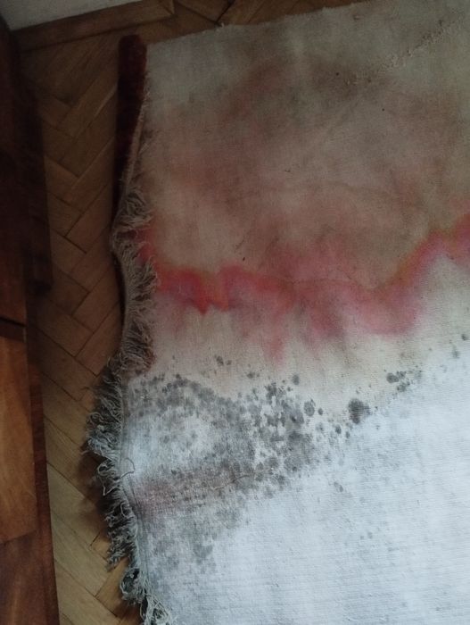 Dywan 100 % wełna vintage z PRL, 2,90 x 1,90 m