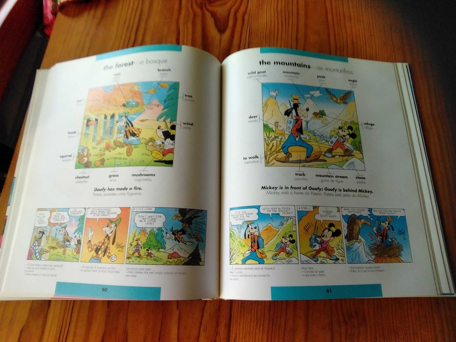 Dicionário Ilustrado Inglês