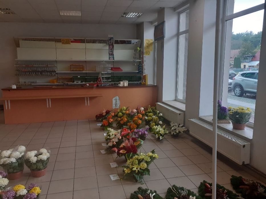 Lokal 400m2 do wynajęcia - Brody, woj. Lubuskie