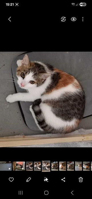 LOLA wciąż czeka na miłość