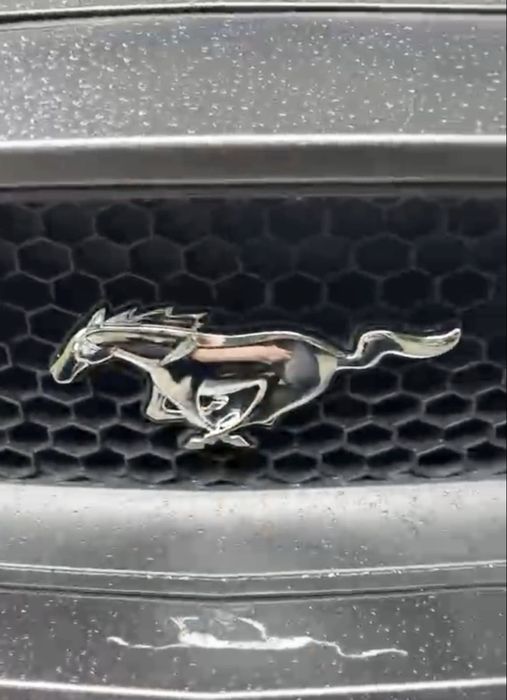 Ford mustang 2015+ emblemat logo na przedni zderzak grill
