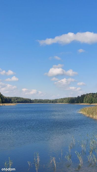 Działka budowlana 4015 m², blisko jeziora