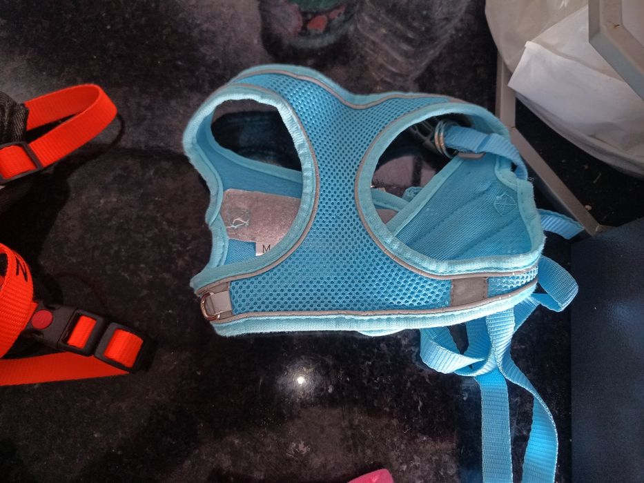 Dois arnês da marca Puppia XS, para cachorros muito pequenos.