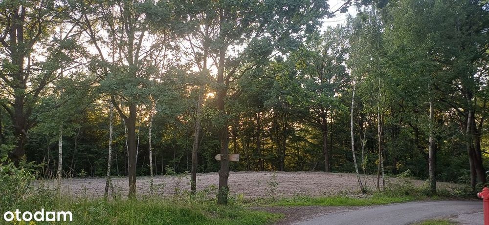 Malownicza działka budowlana | Cisza, natura | 31 km od Krakowa