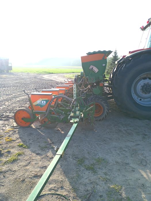 Siewnik do kukurydzy Amazone Ed 601K 8 rzędowy
