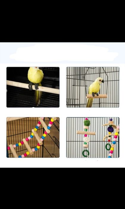 Gaiolas pássaros nova