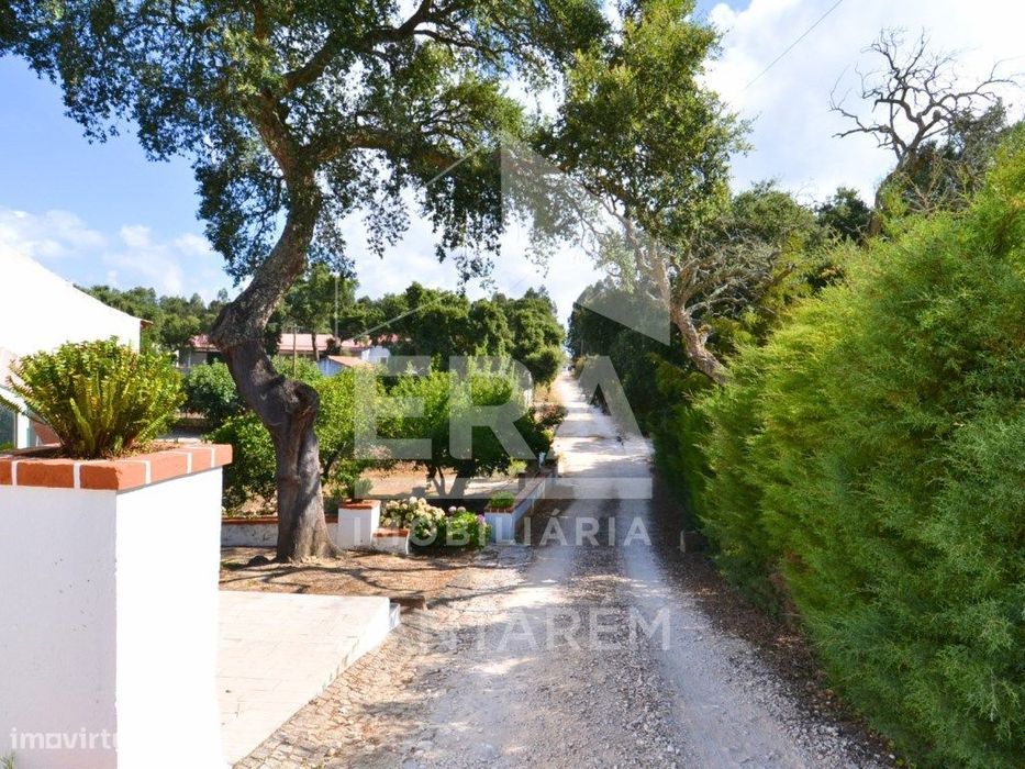 Quinta com 5,8 hectares, em Santarém