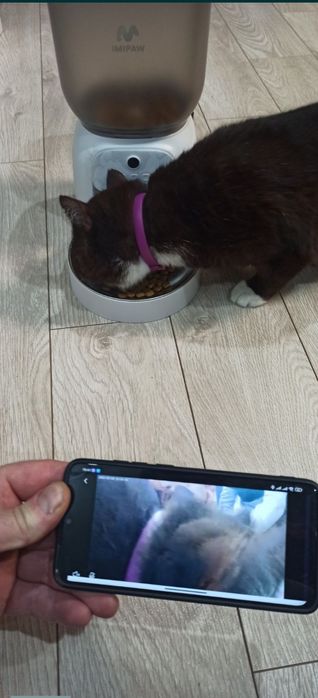 Автоматична wi-fi годівниця з камерою для кішок Imipaw 4л