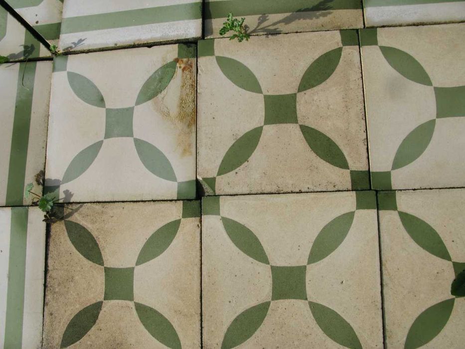 Mosaicos hidráulicos verdes e brancos