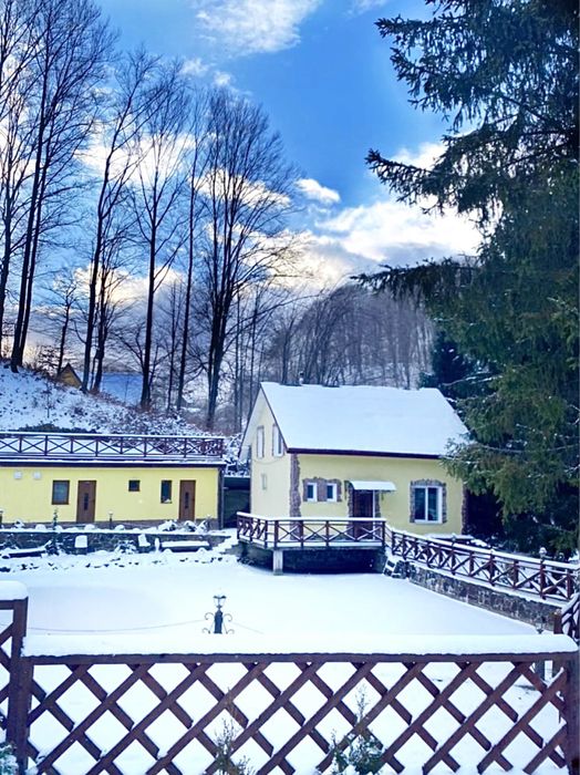 Подобово будинок в с. Шаян Закарпатье Карпати Велятино