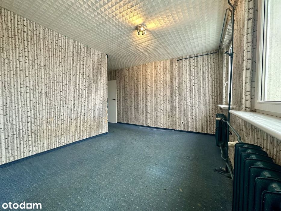 77,8 m² | 3 duże pokoje | 8 minut spacerem do Jeziora Reczynek