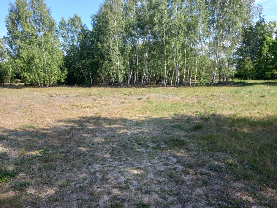 Sprzedam działkę budowlaną 1000 m² położoną w miejscowości Łukówiec gmina Parysów. Na działce jest prąd i woda. Wydane warunki zabudowy. - Widok 5
