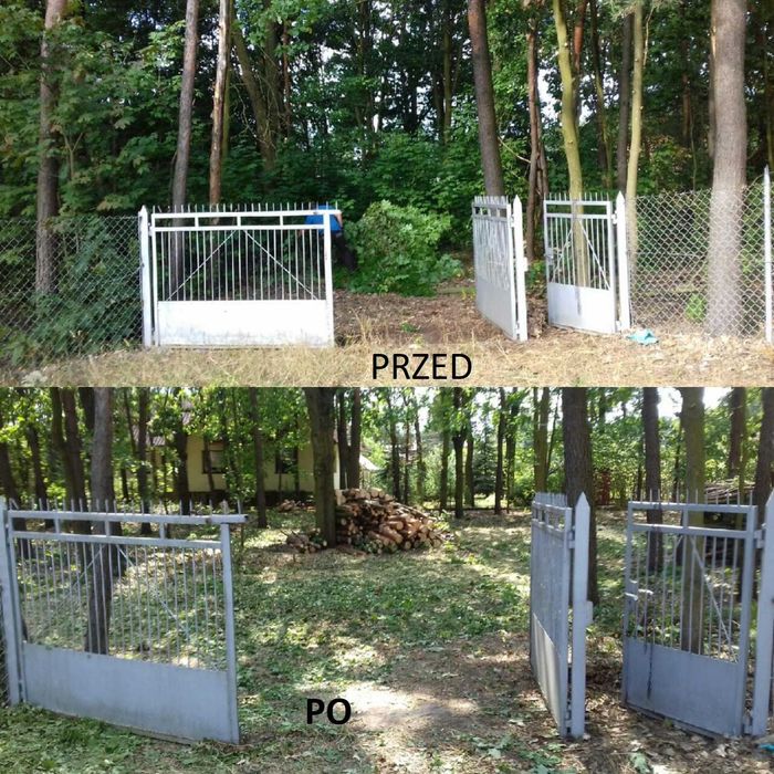 Wycinka Drzew Pielęgnacja Ogrodów
