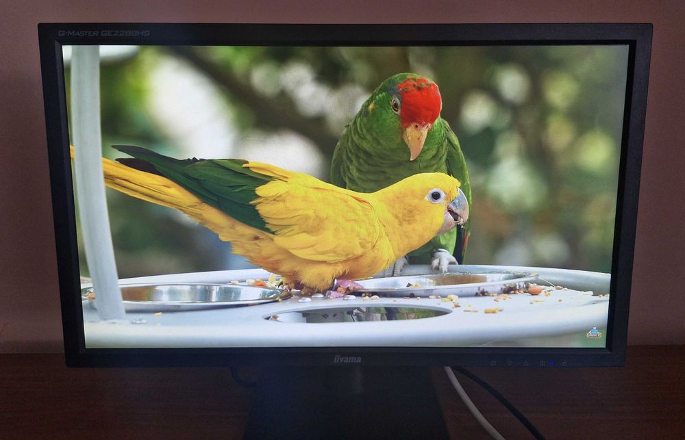 Монітор "22" iiyama G-MASTER GE2288HS