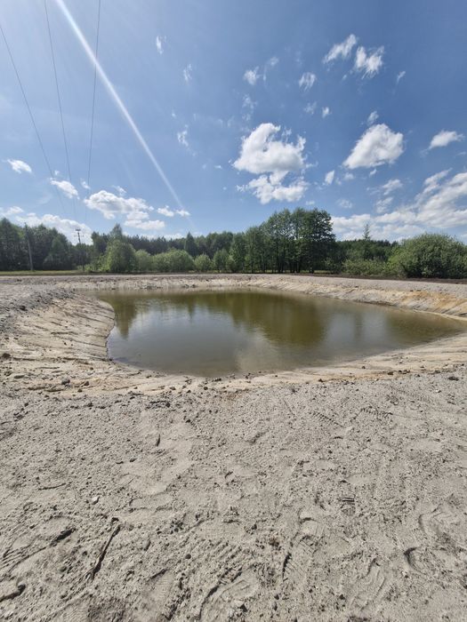 Wynajem koparki long