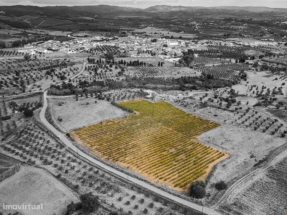 Terreno  para venda